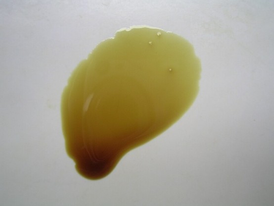 A drop of pumpkin seed oil on a white plate, showing dichromatism