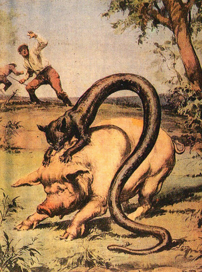 painting of an encounter of the so called Tatzelwurm (