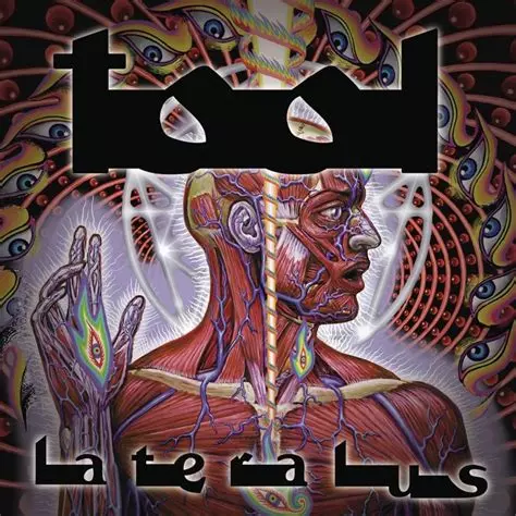 Album art of Tool - Lateralus
Drawing of a 'en profile' face without the skin, showing muscle and nerves, but also more spiritual 'body parts' and spiritual eyes are drawn in. In the background is a multipoint pentagram-esque line drawing and more spirital eyes.