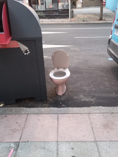 A photo of a white toilet standing to attention next to a bin in the street 