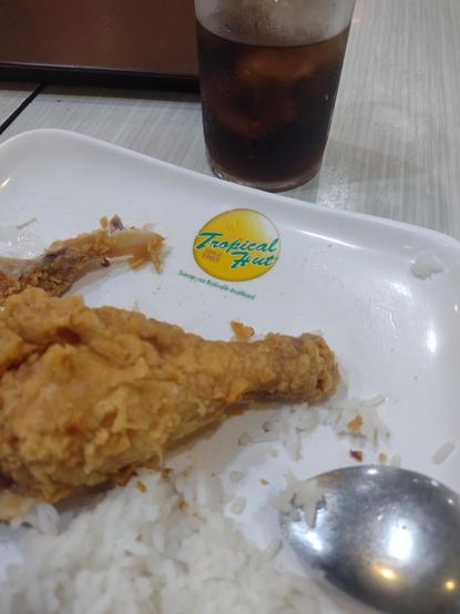 Plate of fried chicken and rice. Plate has logo that reads "Tropical Hut (Since 1965)"