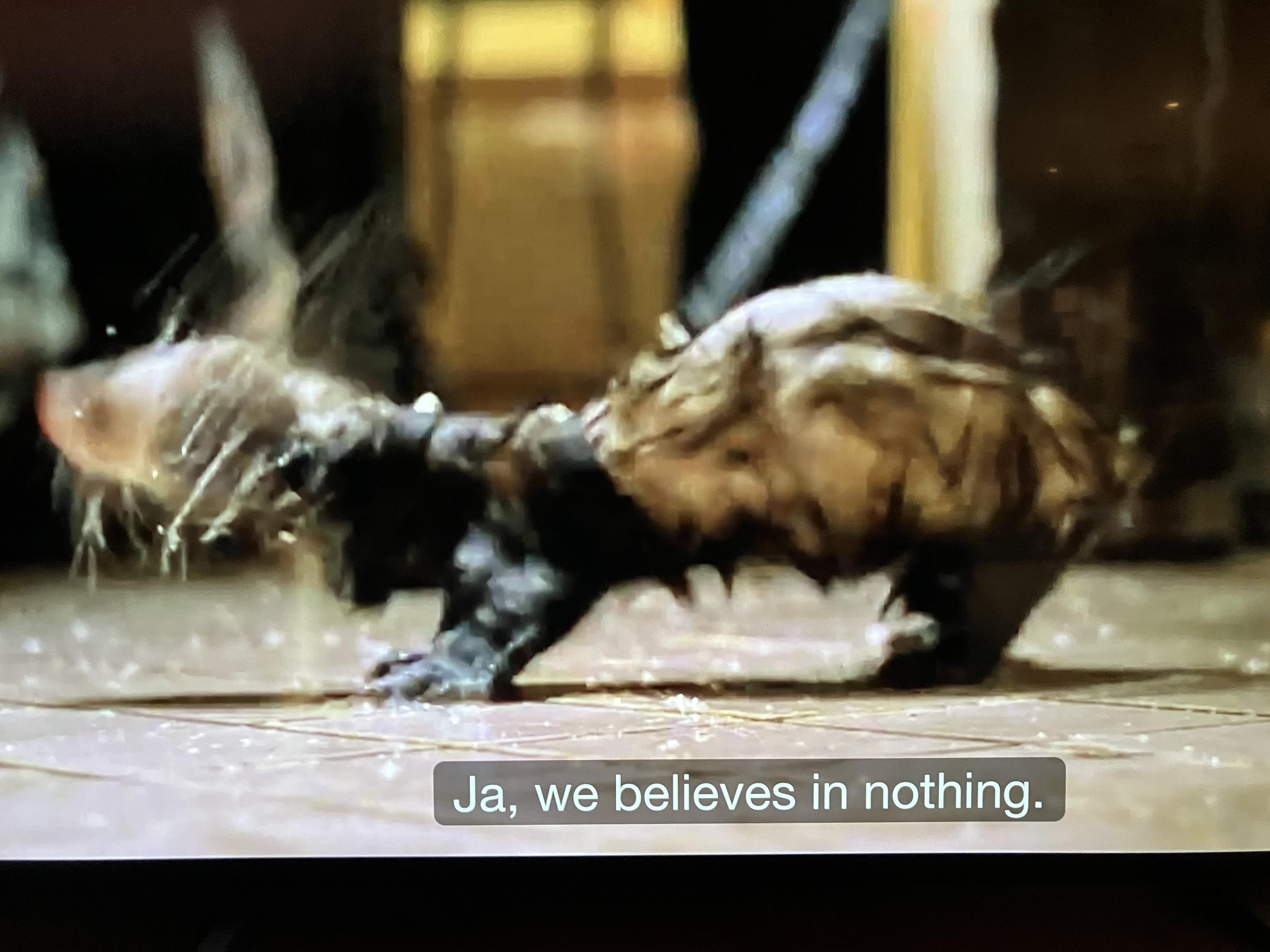 A picture of a wet ferret shaking itself dry.

The subtitle says “Ja, we believes in nothing.”