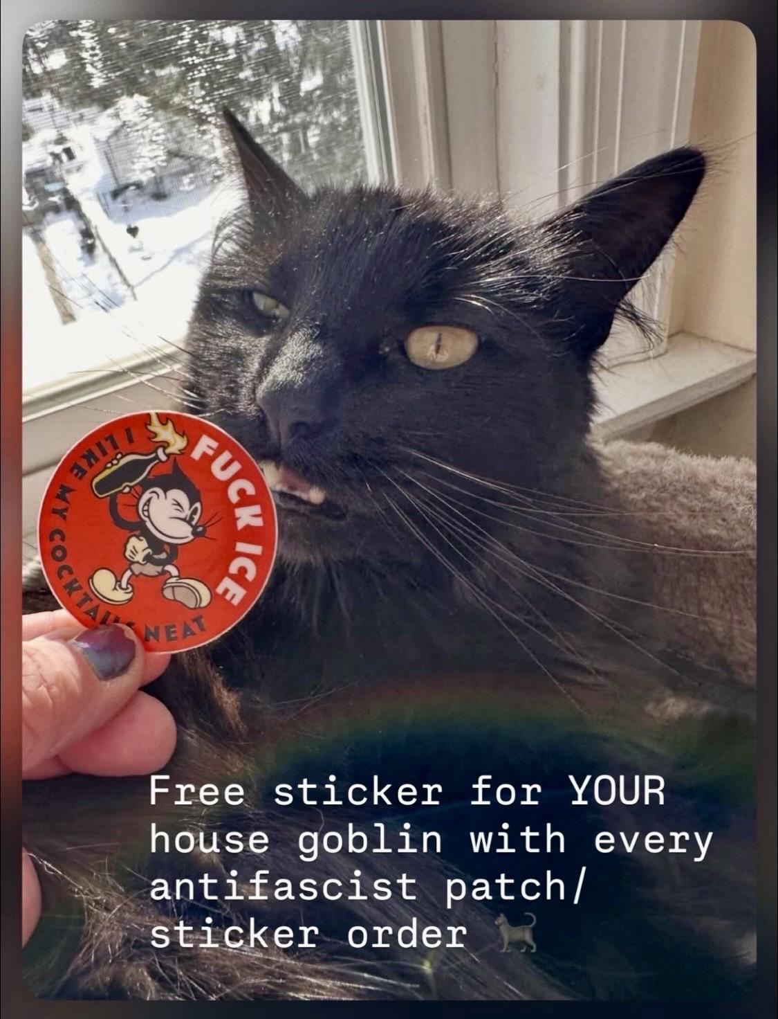 Picture of a scraggly old black cat about to bite an anti-fascist “fuck ice” sticker. (text) reads “free sticker for your house goblin with every antifascist patch/sticker order”