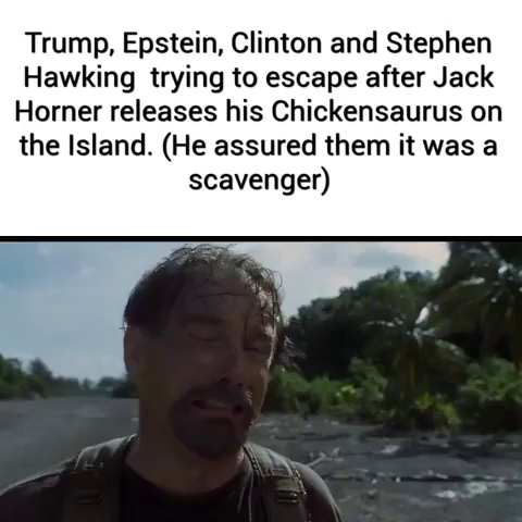 Caption: Trump, Epstein, Clinton and Stephen Hawking trying to escape after Jack Horner releases his Chickensaurus on the Island. (He assured them it was a scavenger)
Video: Clip of Jurassic Park 3, plane escape/crash scene