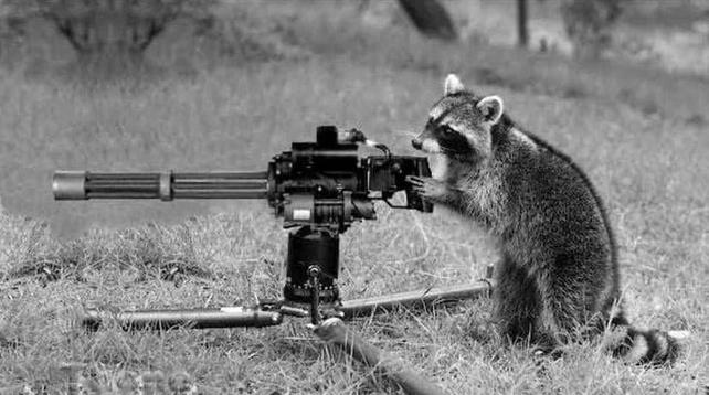 Posted media