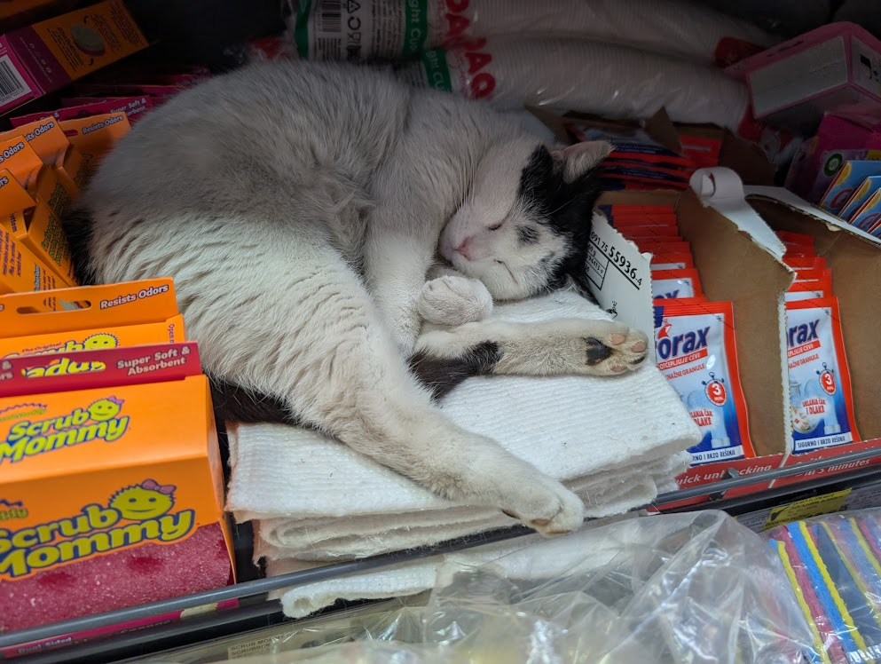 A white and black cat sleeps curled up on a stack of folded white towels. The cat has mostly white fur with black patches on its head and black markings on its paws. To the left, orange boxes are visible with the text "Scrub Mommy", "Scrub Daddy", "Super Soft & Absorbent", and "Resists Odors" Odors". On the right, there are blue and white packages that show the text "orax". The background contains white rolls of paper, and the foreground shows items inside clear plastic packaging.