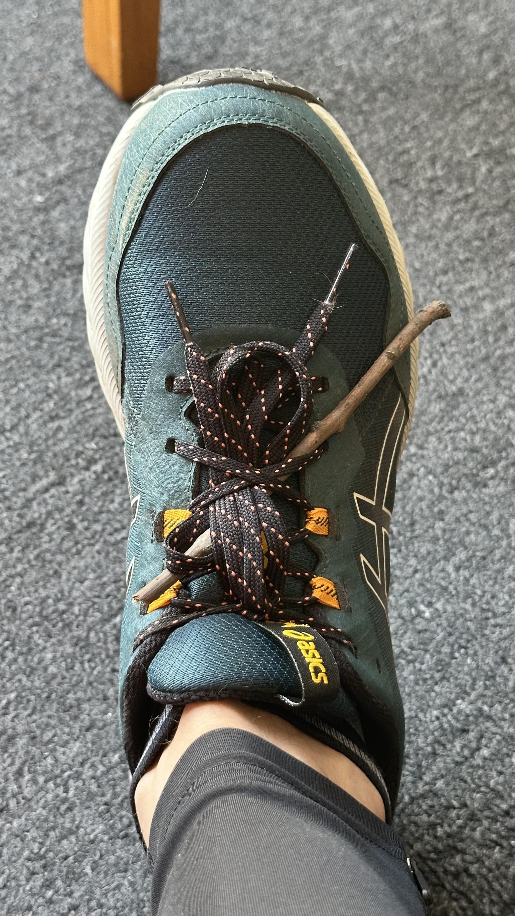 A twig caught between my shoelaces.