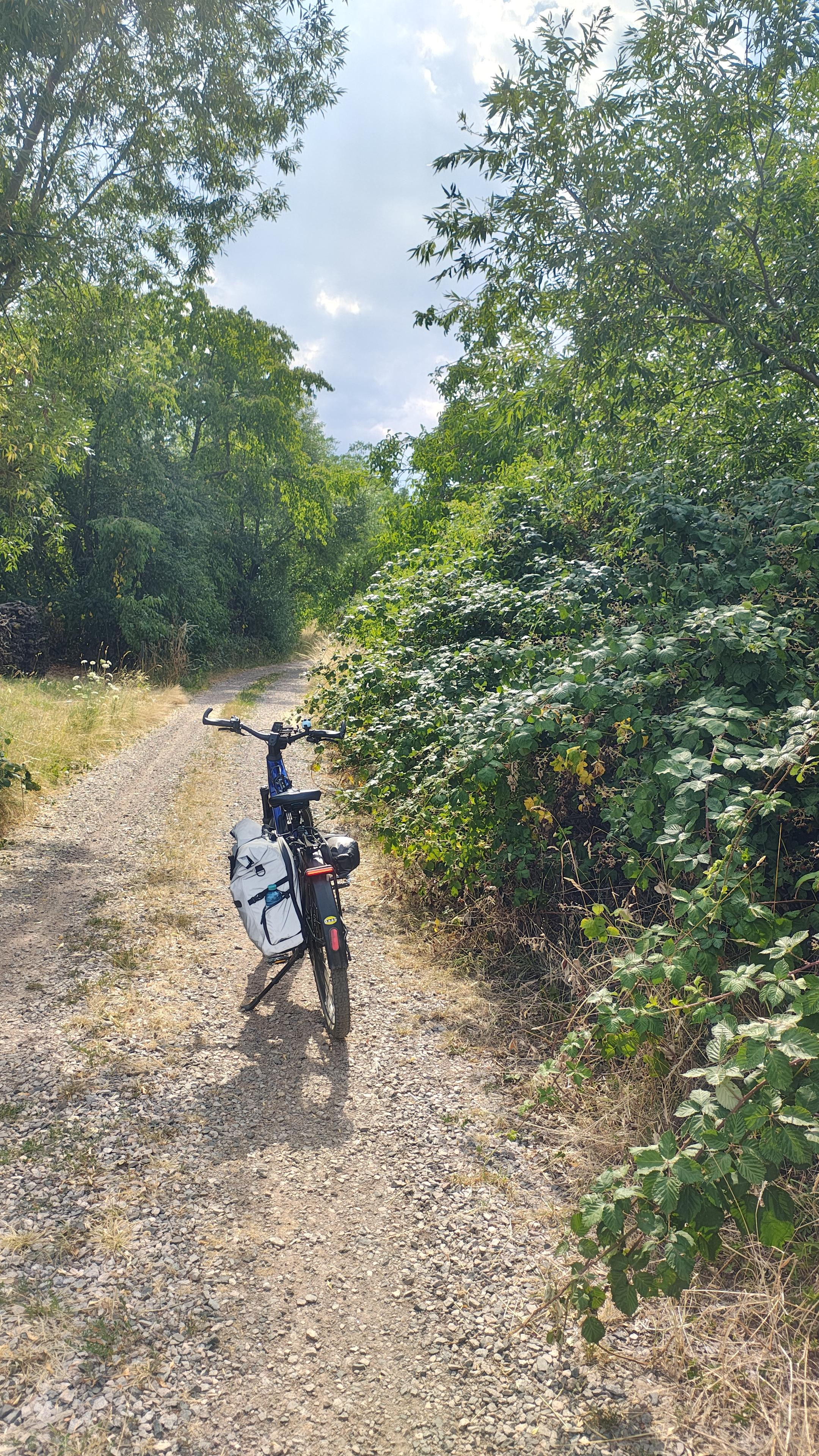 Ein Fahrrad parkt neben einer Brombeerhecke an einem Schotterweg.