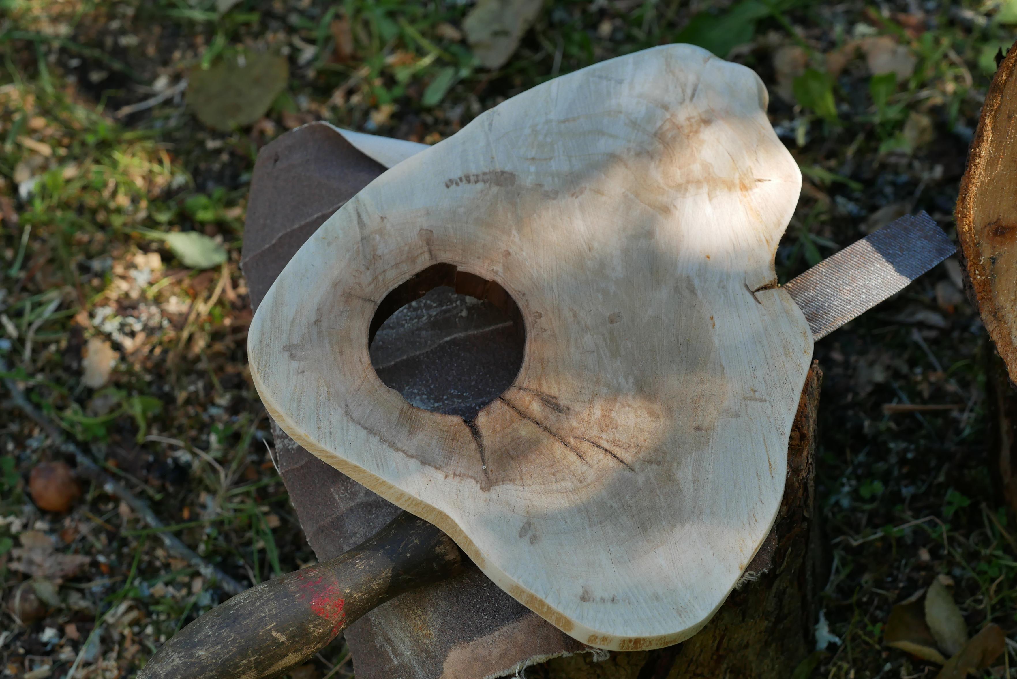 The stumps of a fallen apple tree lying on the ground, and at the very top is a large peeled saw cut with a rot hole in the middle.