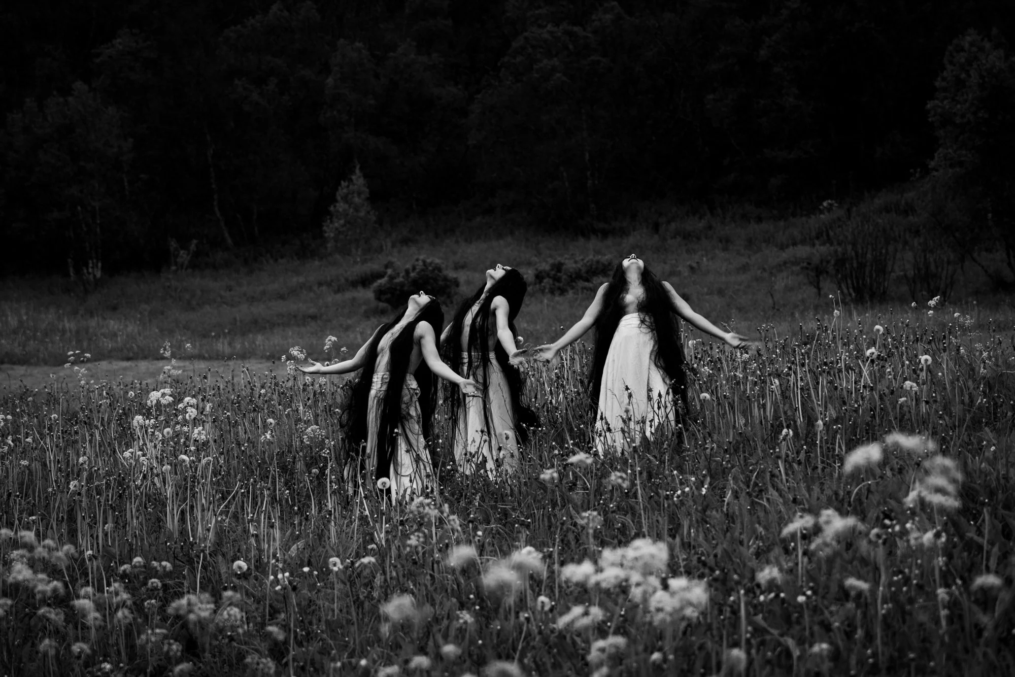 A black-and-white photograph features three women standing in a meadow of tall grass and wildflowers against a backdrop of dark trees. The individuals are wearing light-colored, flowing garments and have their heads tilted back toward the sky with arms slightly outstretched. In the foreground, numerous small, light-colored flowers are scattered among the blades of grass. The upper portion of the image consists of a dense, shadowy treeline that creates high contrast with the illuminated meadow.